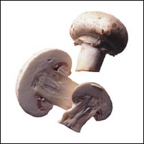 champignon.jpg