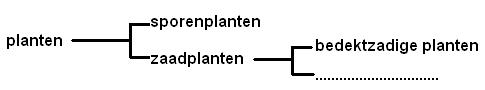 http://www.biologiesite.nl/ordening1a_bestanden/ordtek1.jpg